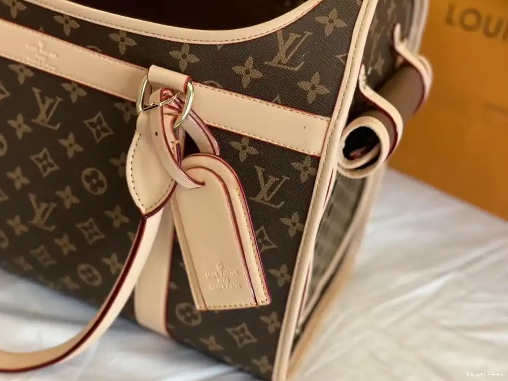 CUSTOM BAG LV PET 0605